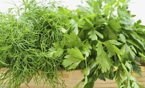 ��� ��������� ������ ������ � ����: ������� ������