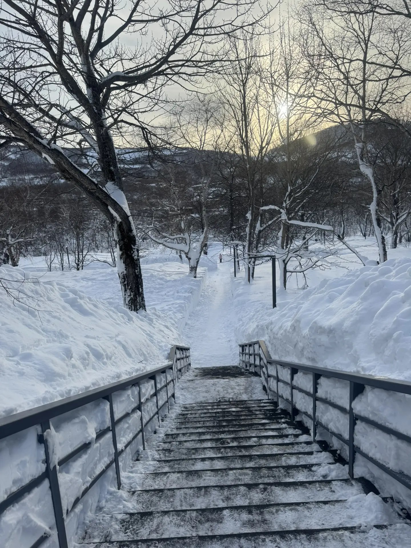 Дворец молодежи под руководством депутата Городской Думы Дарьи Кадачиговой оказывает всестороннюю поддержку горожанам в период ликвидации последствий недавнего циклона Дворец молодежи под руководством депутата Городской Думы Дарьи Кадачиговой оказывает всестороннюю поддержку горожанам в период ликвидации последствий недавнего циклона
