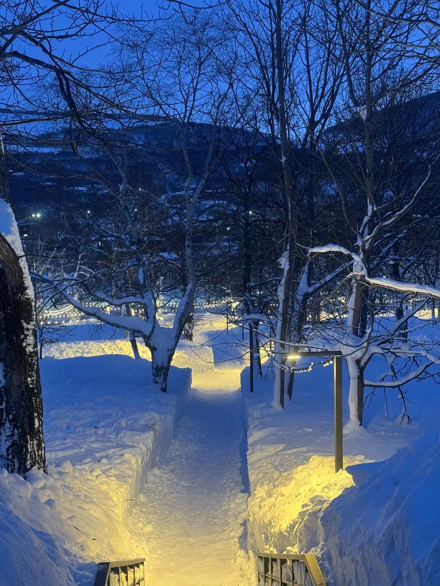 Дворец молодежи под руководством депутата Городской Думы Дарьи Кадачиговой оказывает всестороннюю поддержку горожанам в период ликвидации последствий недавнего циклона Дворец молодежи под руководством депутата Городской Думы Дарьи Кадачиговой оказывает всестороннюю поддержку горожанам в период ликвидации последствий недавнего циклона