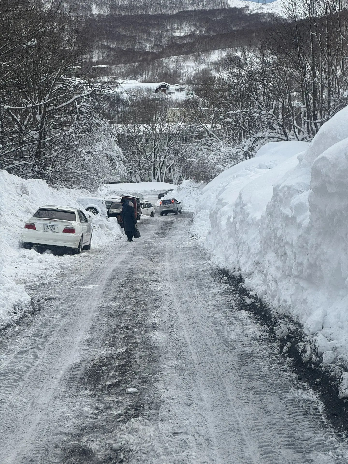 Дворец молодежи под руководством депутата Городской Думы Дарьи Кадачиговой оказывает всестороннюю поддержку горожанам в период ликвидации последствий недавнего циклона Дворец молодежи под руководством депутата Городской Думы Дарьи Кадачиговой оказывает всестороннюю поддержку горожанам в период ликвидации последствий недавнего циклона