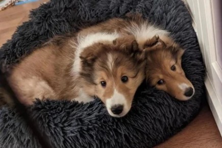 15 ���������� ����������, ������� �������� ��������� ������