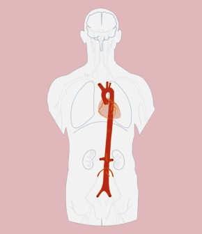 Картофельная революция: как русские крестьяне противостояли новому корнеплоду