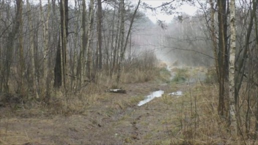 ��������� ������ ������� �����: ��� ����� ����� � �������