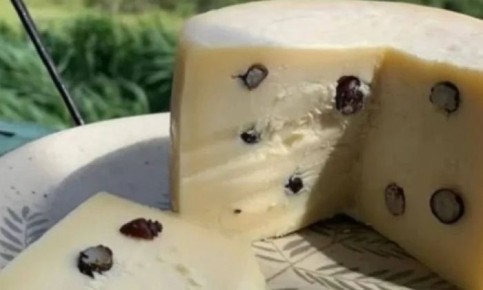 Необычный деликатес: бразильский сыр с жареными муравьями завоевывает популярность