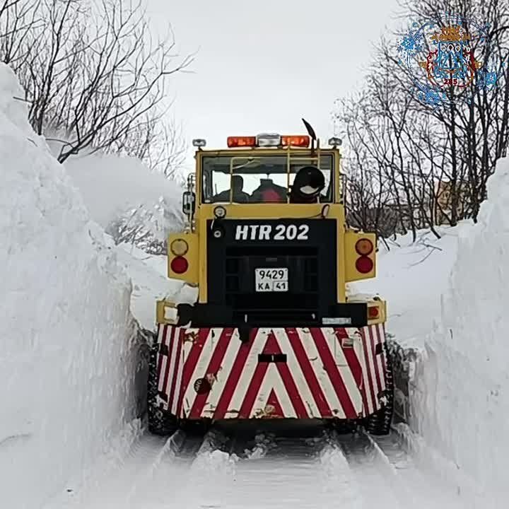 � ��������������-���������� �������� ������ ���������� �������� ����������� �� ���������� ����������� �������