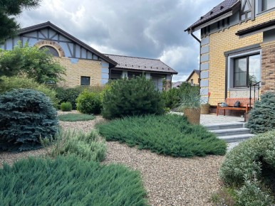 Зеленый оазис: Элимус песчаный и удивительные растения от Сергеевых