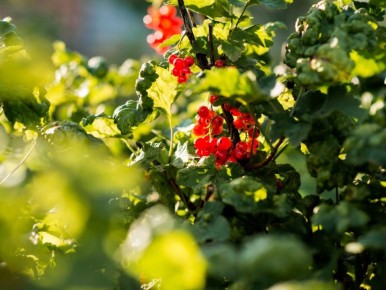 ��� ������� ������� ����� ��������� ������ ���� ��������� �� �����