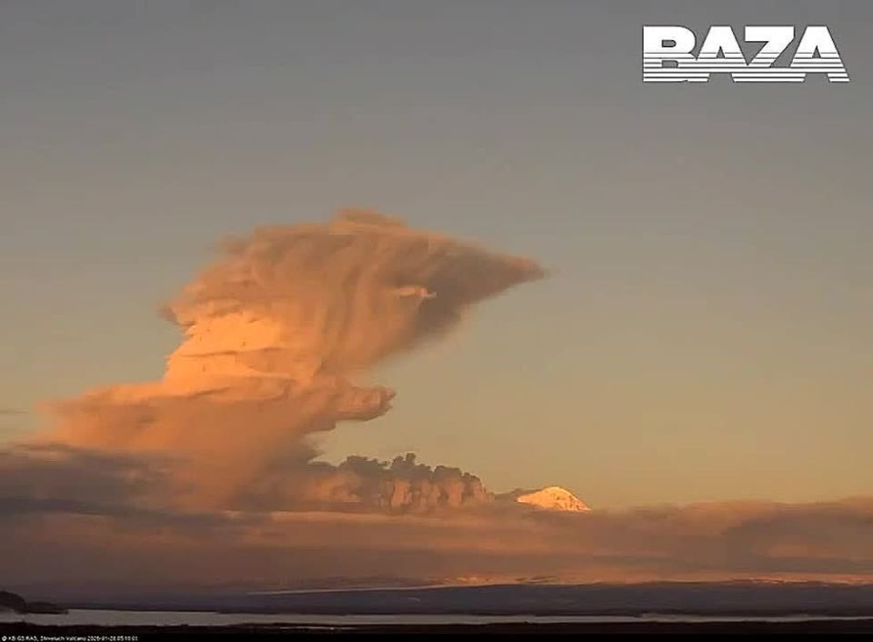 ������ ������� �� �������� �������� ����� ����� �� 9 ���