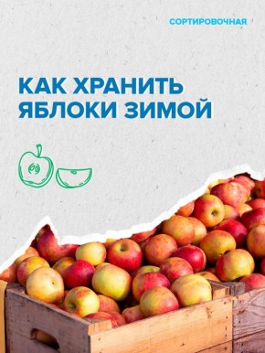 Яблоки и не только: как сохранить продукты дольше и уменьшить пищевые отходы