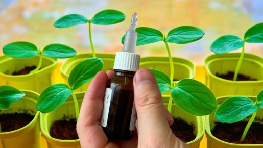 ��� �������� ������� ����� ��������� ������� ������� ��� ������ ������