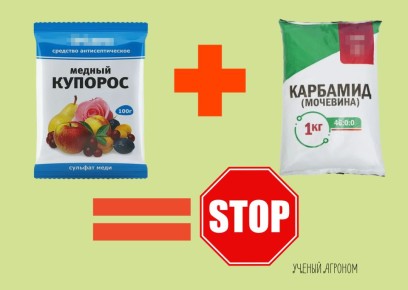 Почему сочетание мочевины и купороса вредно для сада и как действовать правильно