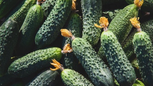 ����������� ������ ��� ����� ������: ��� ��� ����������� ��������