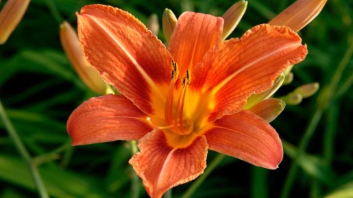 ������ ������� ����� ����� � ����� �������: ������� ����� �����������