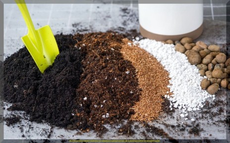 ��� ������� ��������� �������� ��� �������: ������� �� ������� �����������