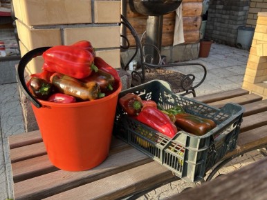 ���-3 ����� ����������� ����� ��� ������� � 2026 ����