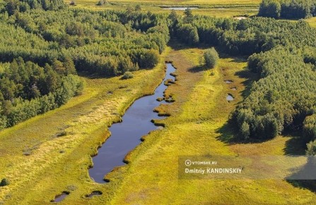 Минприроды предлагает изменить границы заповедников ради обороны