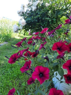 ����������� � ������������: ��� ������� ��� ������ ����?