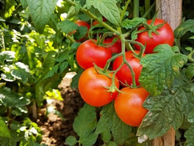 ��� 5 ������� ��� ������� ������ � ������� �������