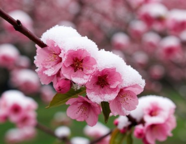 ���� ������: ��� �������� ��� �� �������� �������