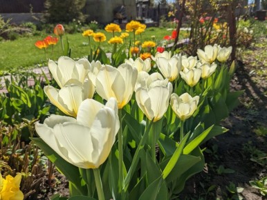 ����� ��������� ������ ����� ��� ��������� ����?