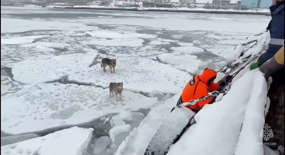 ��������� ������������: ��������� ����� ���� ����� � ������ �� ��������