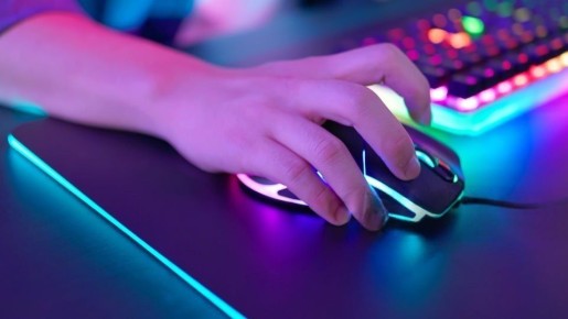 В Госдуме предложили ввести механизм самозапрета на покупки в играх