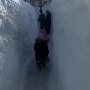 1 ������� �������� �������� ��������� ����������� �����