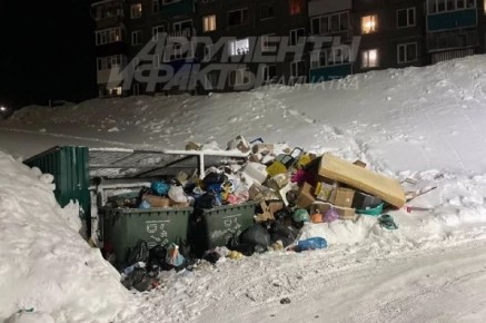 В Петропавловске-Камчатском 3 февраля опубликуют интерактивную карту уборки контейнерных площадок