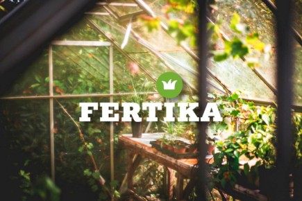 Как подготовить теплицу к новому сезону: практические советы