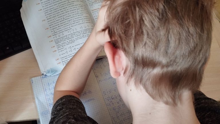 Минпросвещения вводит новый закон: сайты с готовыми домашними заданиями под запретом