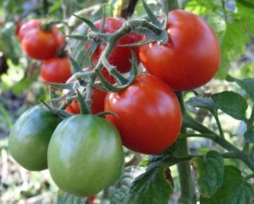 7 �������� ����������� �� ����� �� �������� � �������� ����