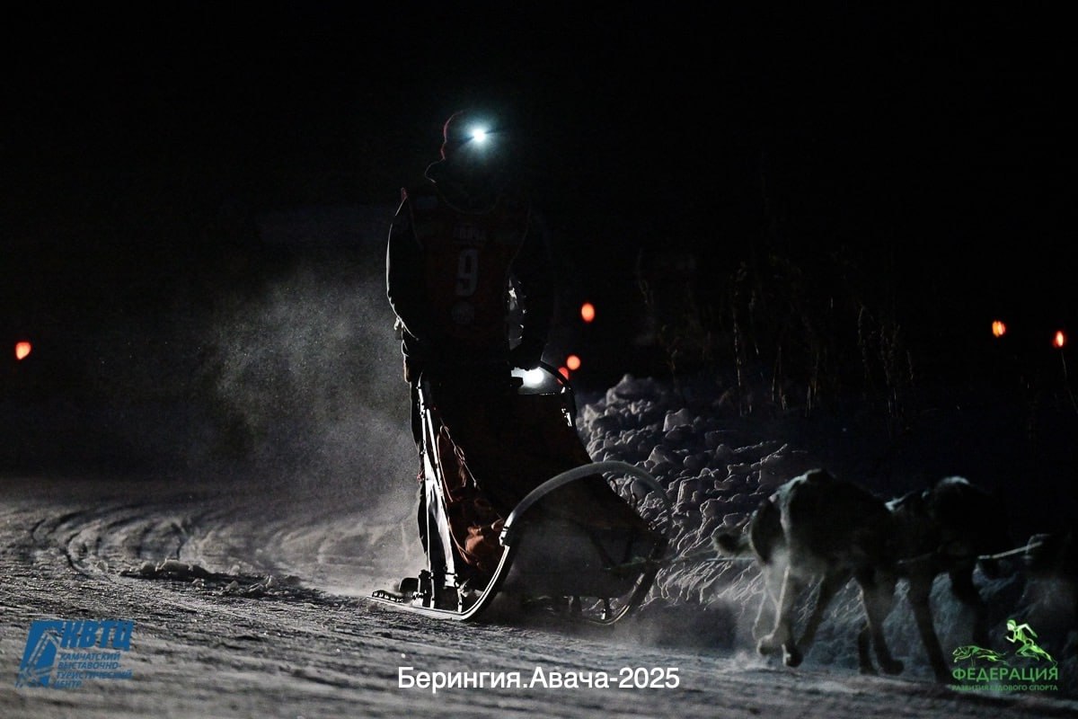 #Анонс. 8 февраля стартует новый сезон Камчатской традиционной гонки на собачьих упряжках «Берингия–2026» #Анонс. 8 февраля стартует новый сезон Камчатской традиционной гонки на собачьих упряжках «Берингия–2026»