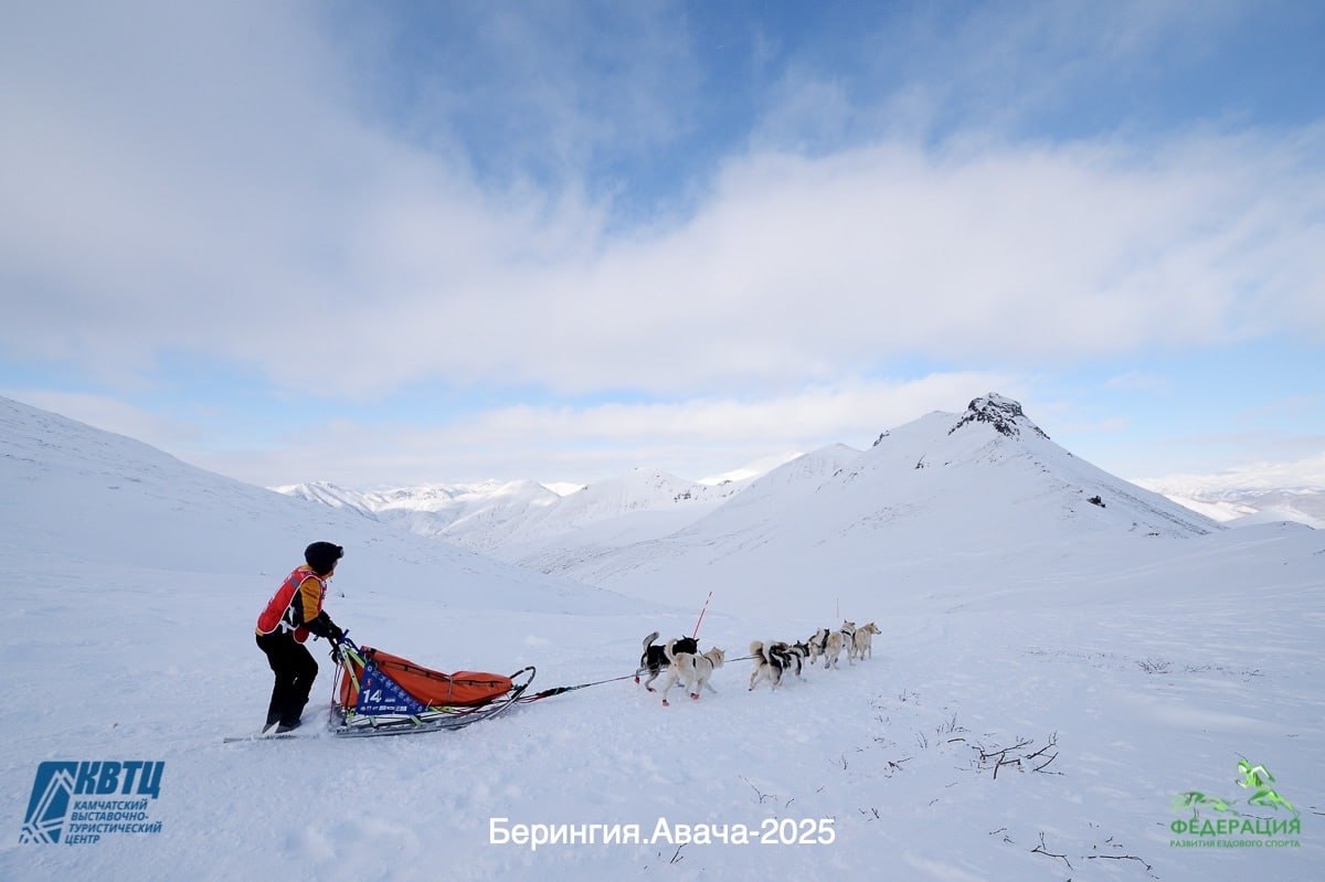 #Анонс. 8 февраля стартует новый сезон Камчатской традиционной гонки на собачьих упряжках «Берингия–2026» #Анонс. 8 февраля стартует новый сезон Камчатской традиционной гонки на собачьих упряжках «Берингия–2026»