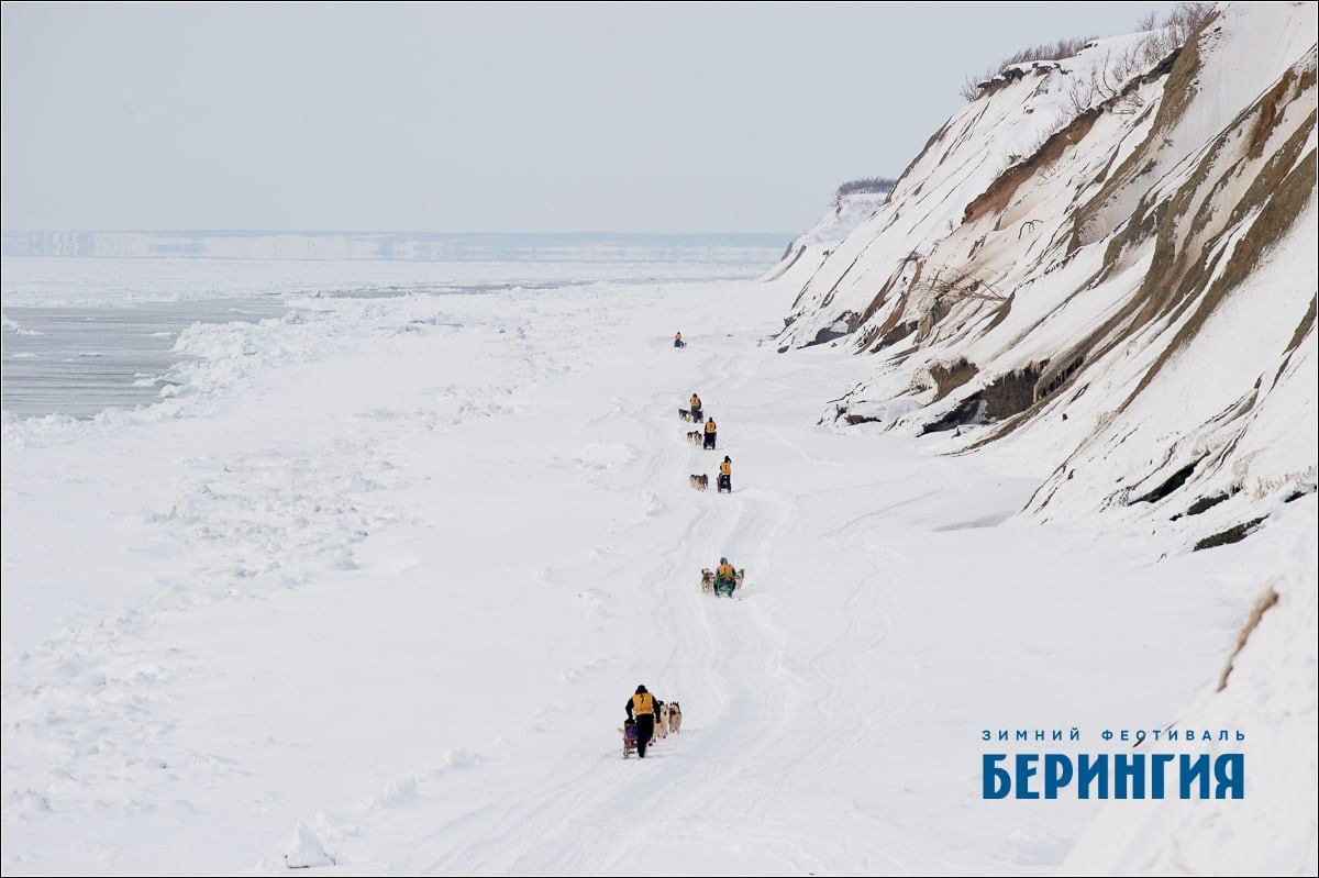 #Анонс. 8 февраля стартует новый сезон Камчатской традиционной гонки на собачьих упряжках «Берингия–2026» #Анонс. 8 февраля стартует новый сезон Камчатской традиционной гонки на собачьих упряжках «Берингия–2026»