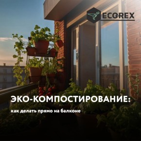 ��� ������ ���-��������������� �� �������: ������� ���� ��� ��������� �������