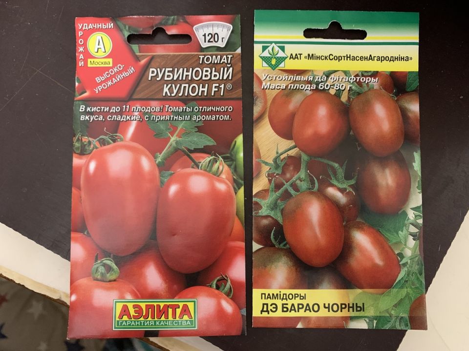 ������ ����� '��������� �����' �������� ������� � ���������