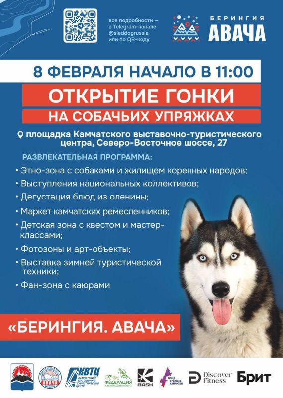 ��������, ����� �������� �����������