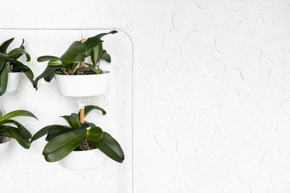 �������� ��� ������: �������� ������ ��������� ��� ����