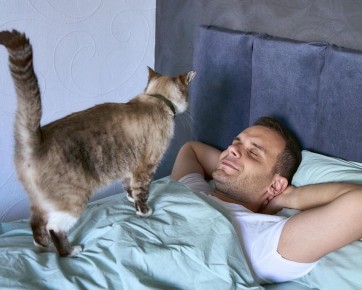 ��� ������������ �� ������� ��������: ������ ����������