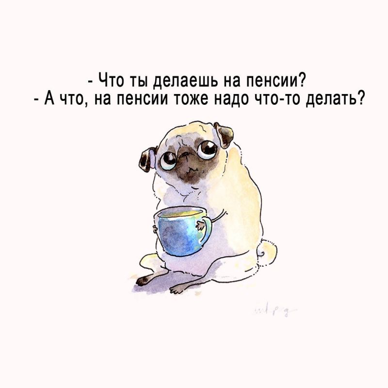 Как наполнять красками каждый день на пенсии: простые идеи для нового вкуса жизни