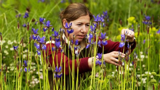 ����� �������� ������, ��� � �������: ������ � ���� ���� ���������