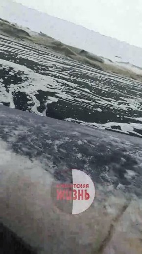 ������ �������� ���������� ������������ �� ����� ����