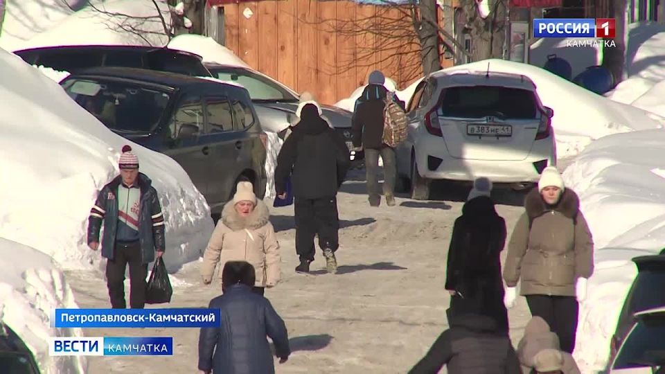 Оплачиваемый больничный для самозанятых: новый эксперимент в Камчатском крае начал действовать с начала этого года