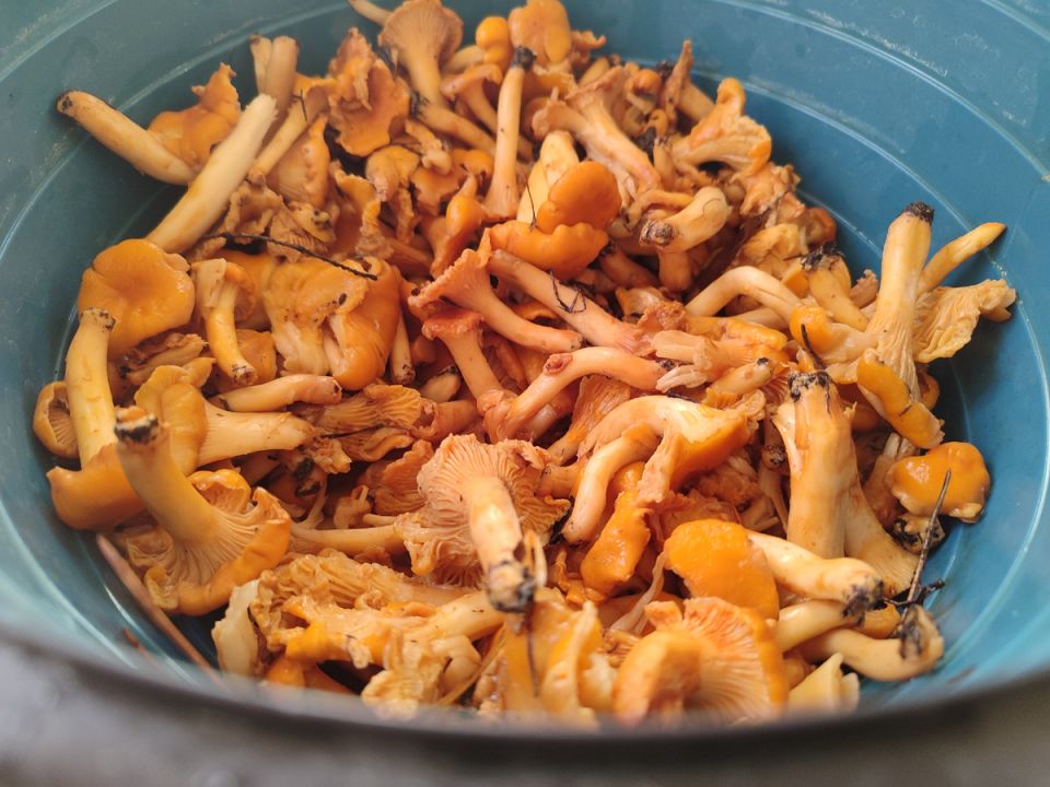 �������: ���������� ����������� �� ������ �� �����