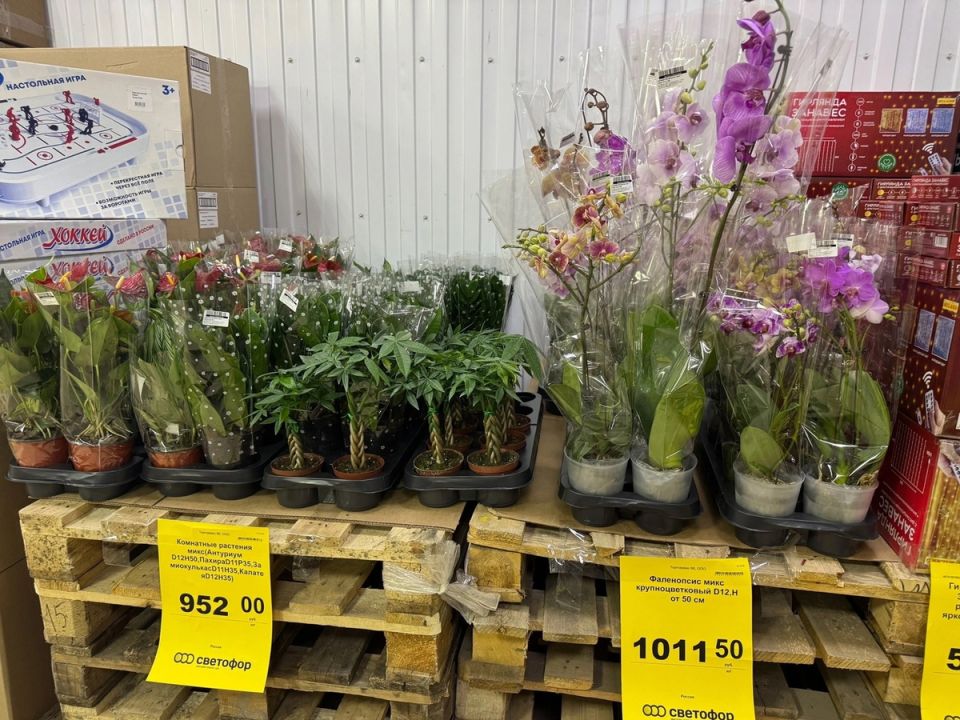 Светофор не сдается: как проверки улучшили ассортимент и почему резко возросли цены