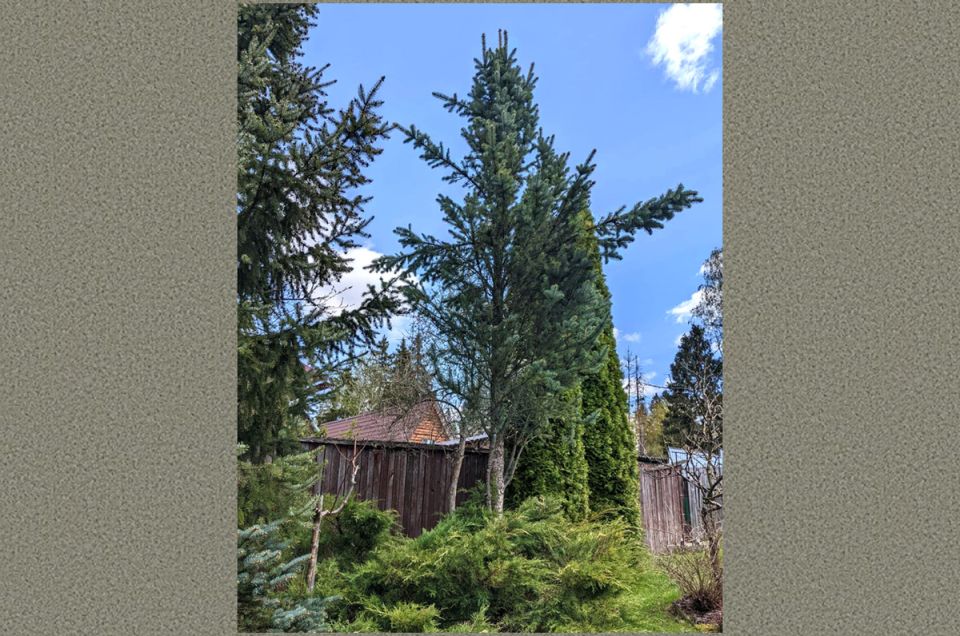 ��� ������ ��� �� �������� ���������: ������ ��� ���������