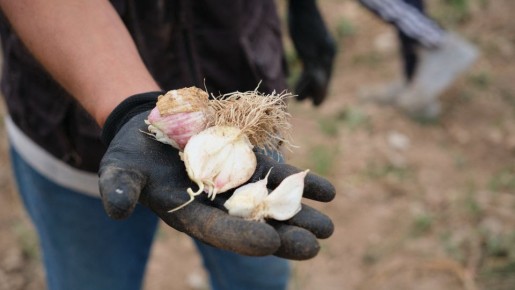 �� ���������� ������: � ����� ��� ��������� ���� ������ ������ �� ����