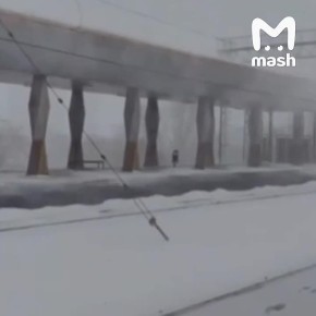 ����� 50 ������ ��������� � ���������� ������ ��-�� �������� ���������