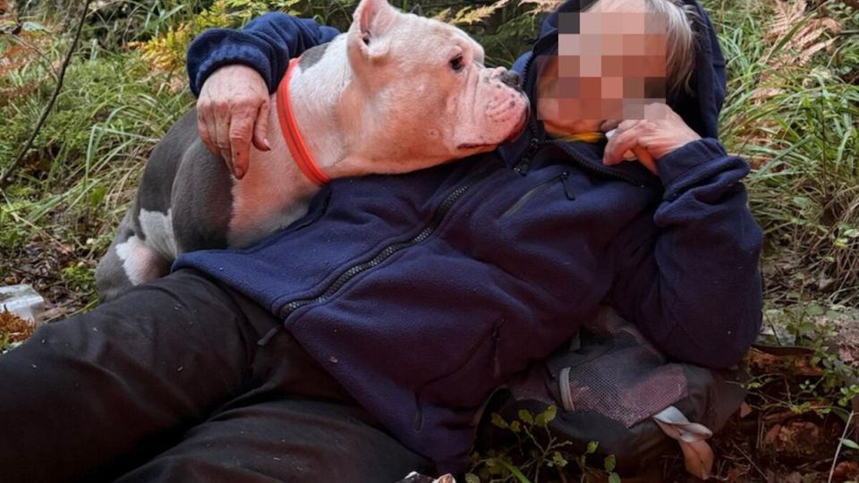 Как 83-летняя грибница выжила четыре дня в лесу под Выборгом