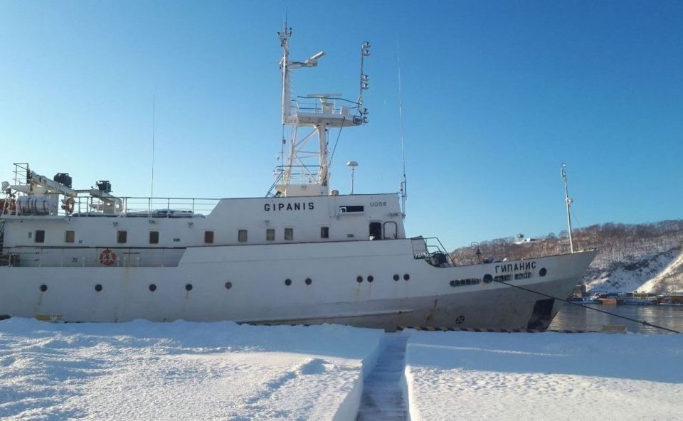 �������� �������� ������ �������